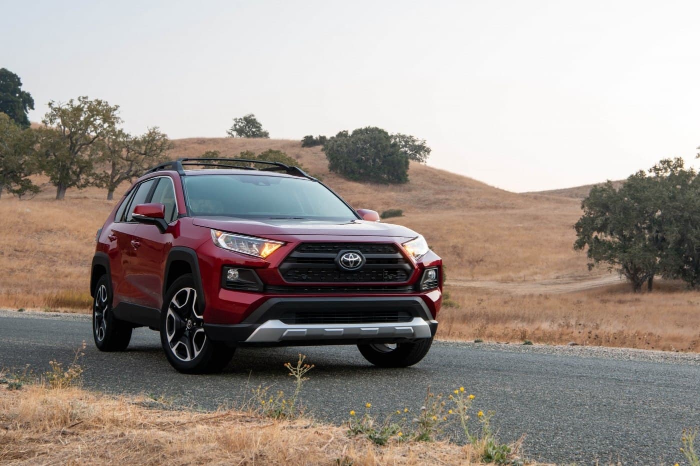 rav41 1